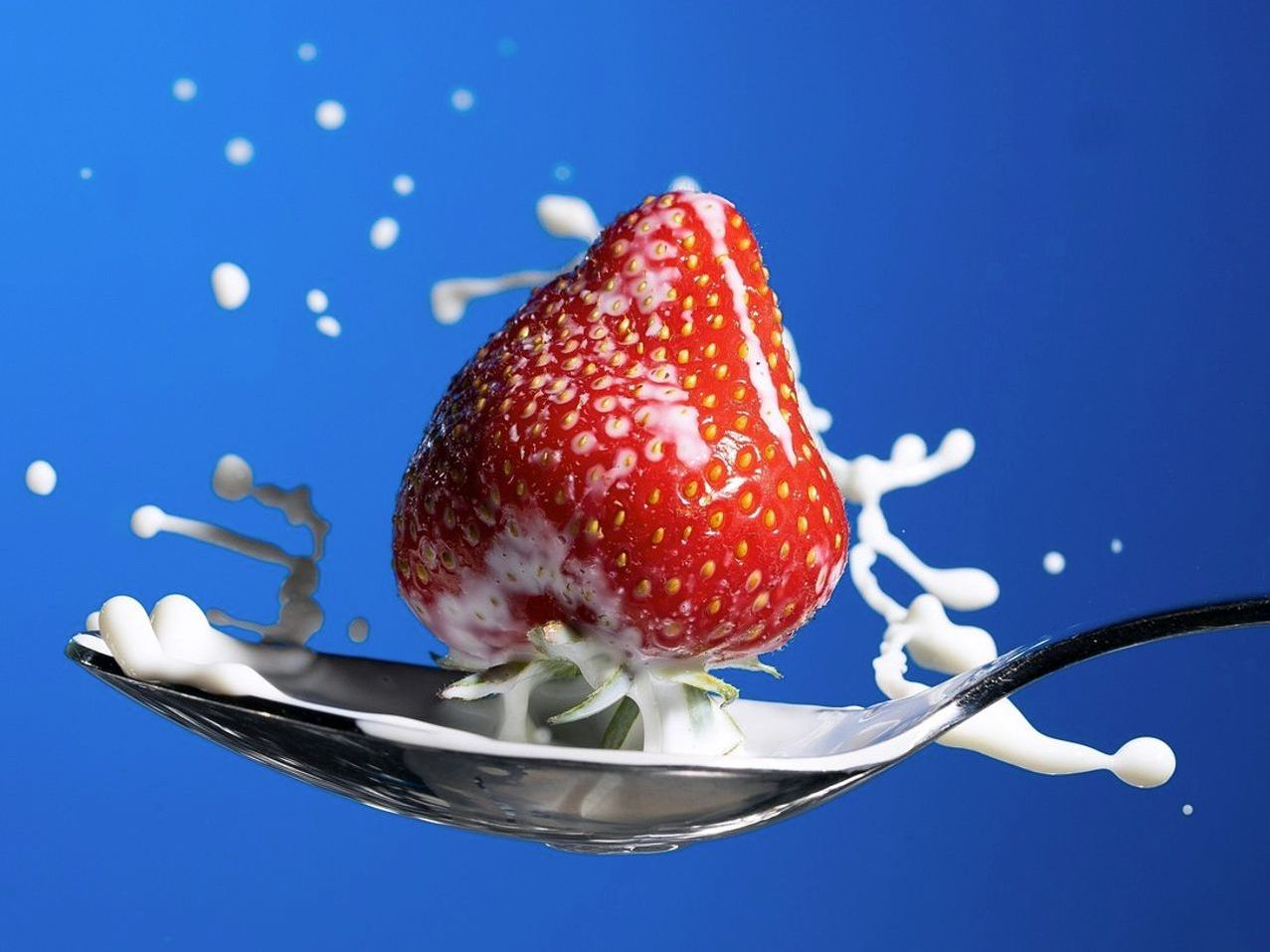Nutricionista